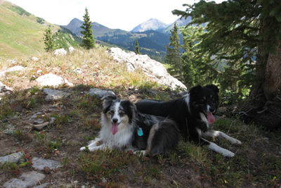 schofield pass shade stop quick cool off